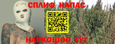 прущие грибы Камышлов