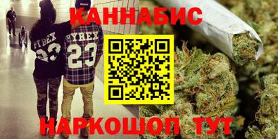 прущие грибы Камышлов