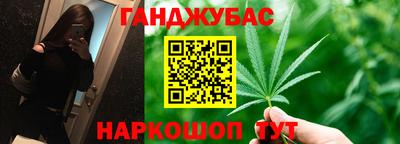 прущие грибы Камышлов
