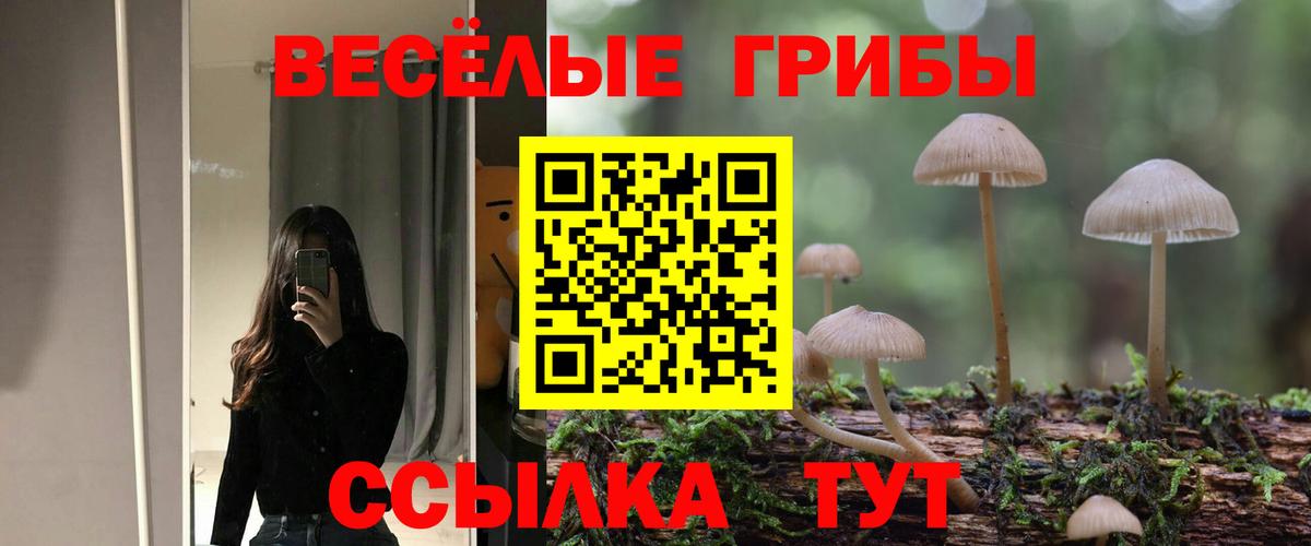 Галлюциногенные грибы Magic Shrooms  Псилоцибиновые грибы Psilocybine cubensis  Южно-Сахалинск  Вход с VPN 